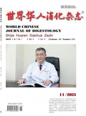 世界华人消化期刊
